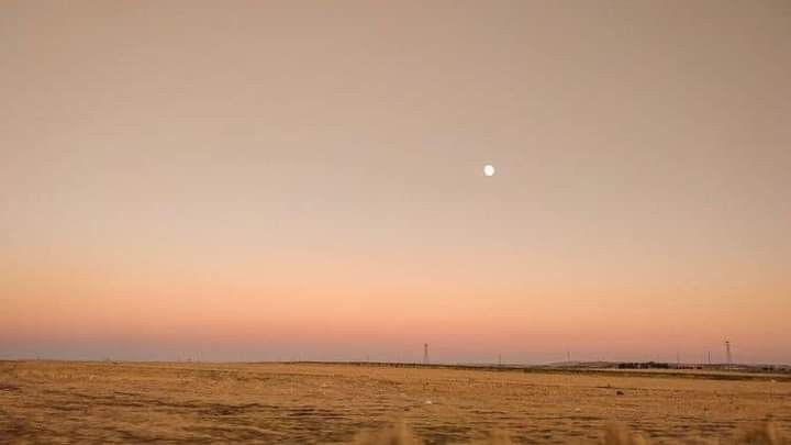 1972 Mệnh Gì Khám Phá Sự Thật Về Năm Sinh Bạn