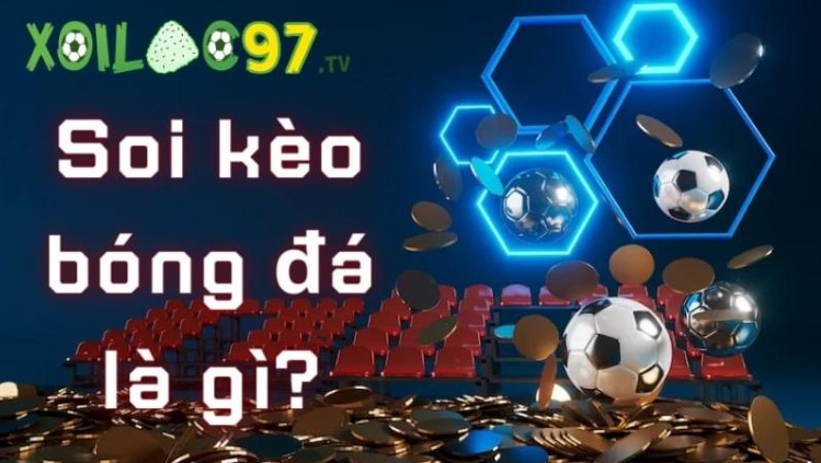 Xôi lạc TV – Nơi soi kèo những giải đấu bóng đá hàng đầu
