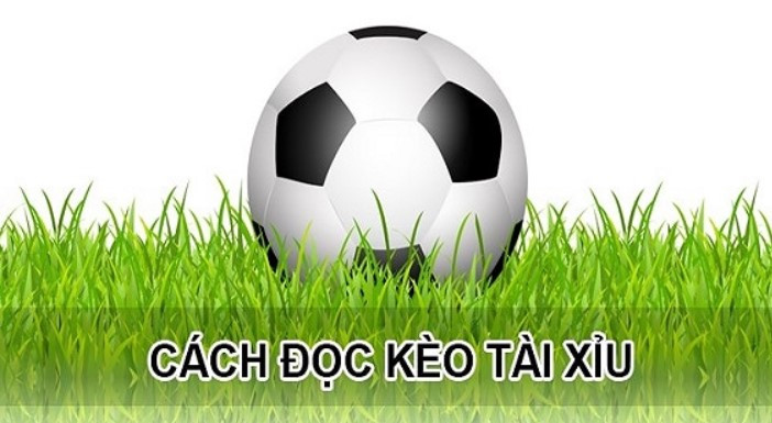Hướng dẫn soi kèo tài xỉu bất bại từ cao thủ