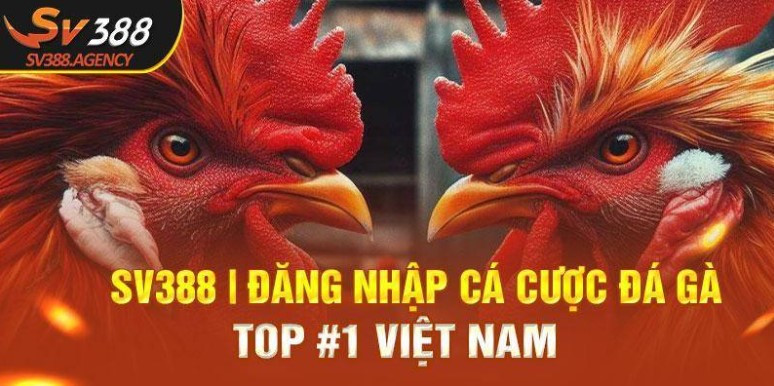 Đá Gà 388 Có Lừa Đảo Không? Giải Đáp Ngay