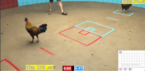 Hướng dẫn xem trực tiếp đá gà miễn phí tại Daga4k.com