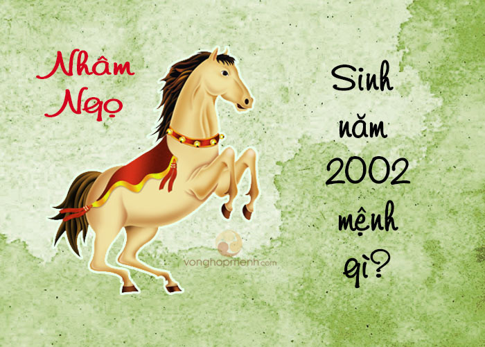 Tuổi 2002 mệnh gì? Tuổi gì? Hợp màu nào? Hướng nào?